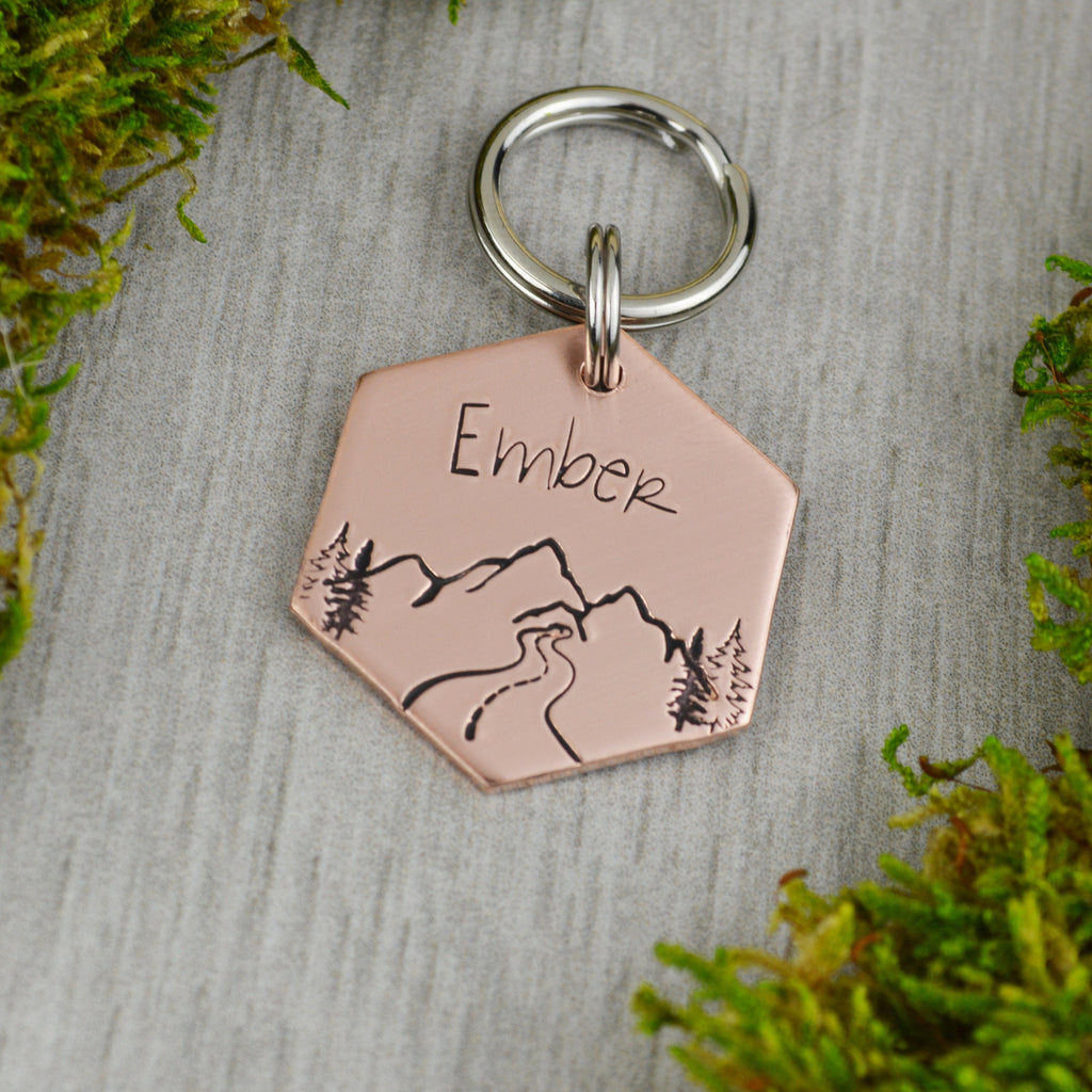 Mountain Pass Handstamped Hexagon Pet ID Tag 