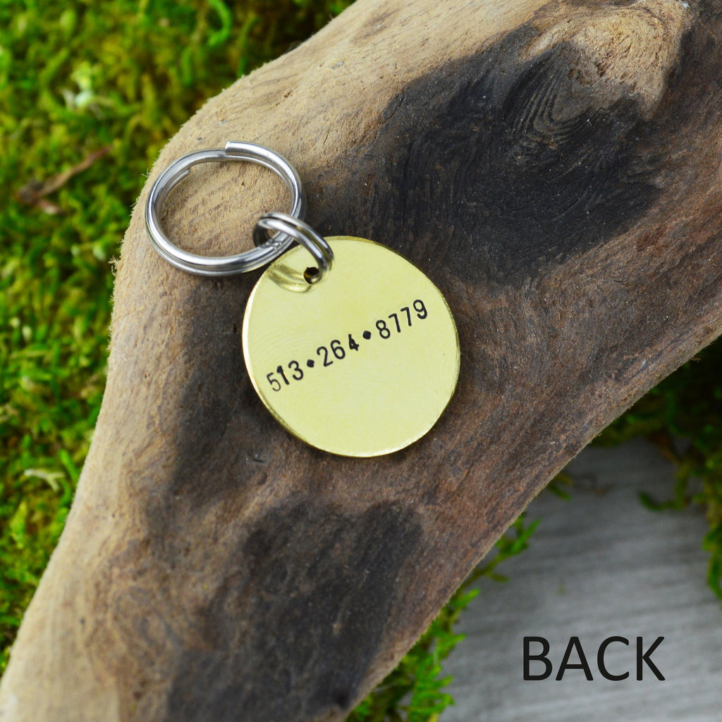 Succulents in the Sun - Small Handstamped Pet ID Tag • Personalized Pet/Dog ID Tag • Dog Collar Tag • Custom Engraved Dog Tag