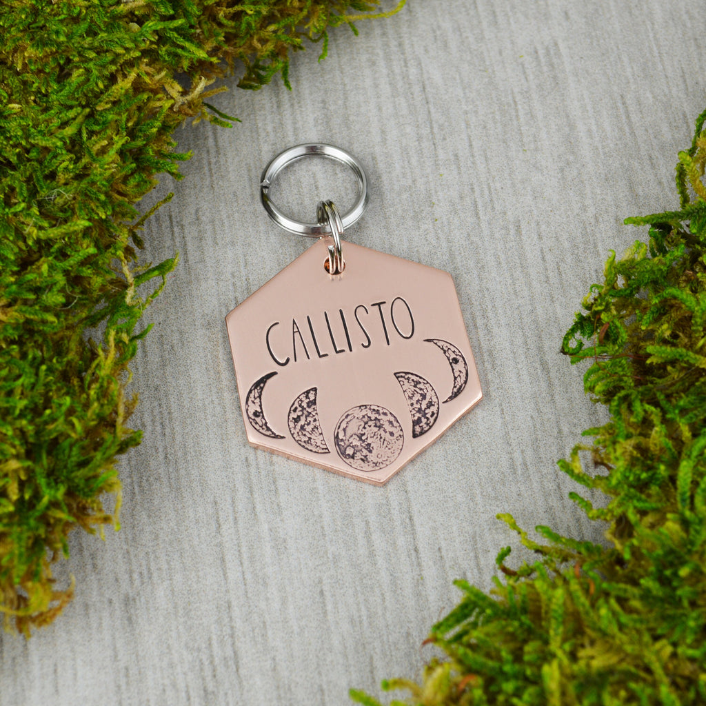 Lunar Phases Handstamped Hexagon Pet ID Tag 