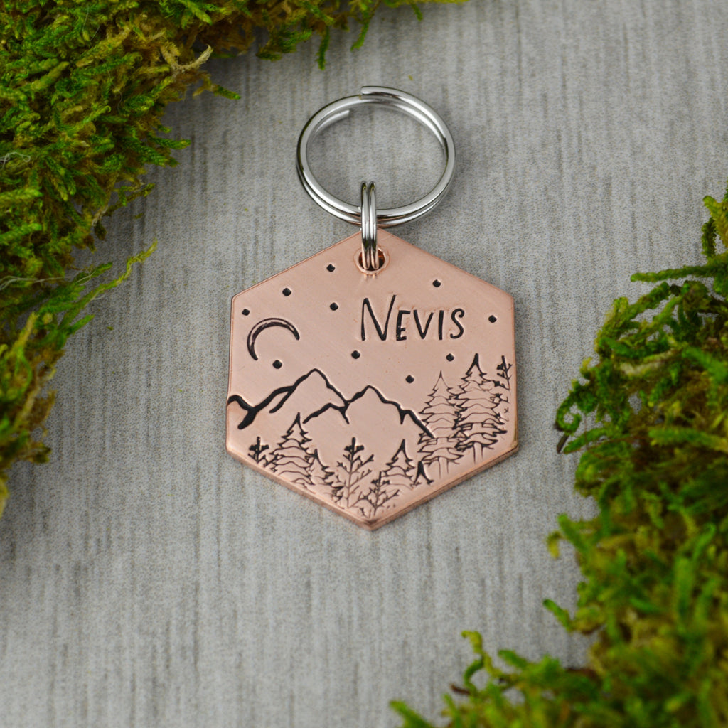 Sequoias by the Peaks Handstamped Hexagon Pet ID Tag 