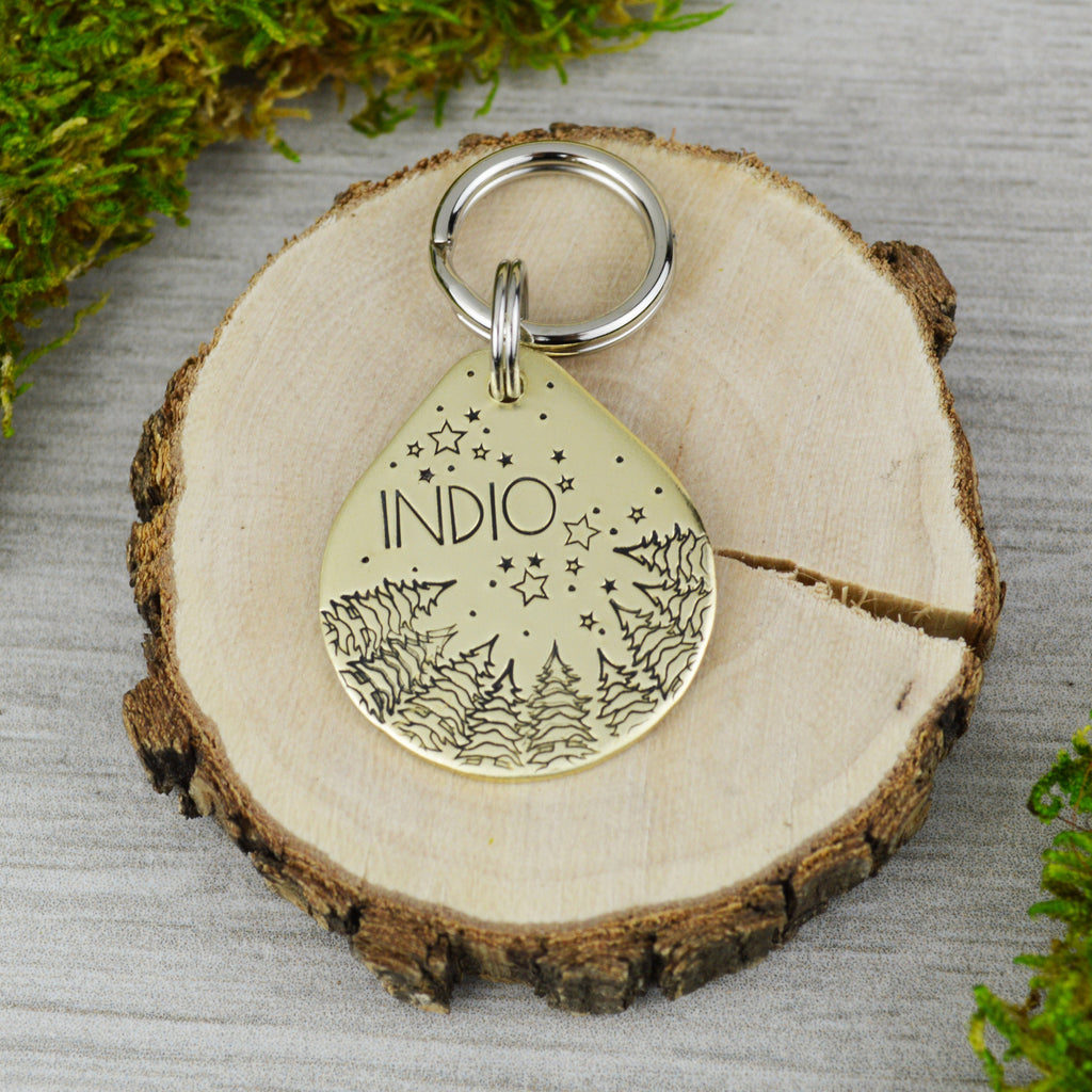 Beyond the Sky  Handstamped Pet ID Tag 