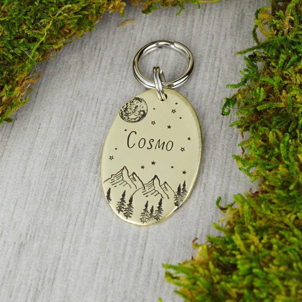 Looking Up At The Cosmos Handstamped Pet ID Tag 