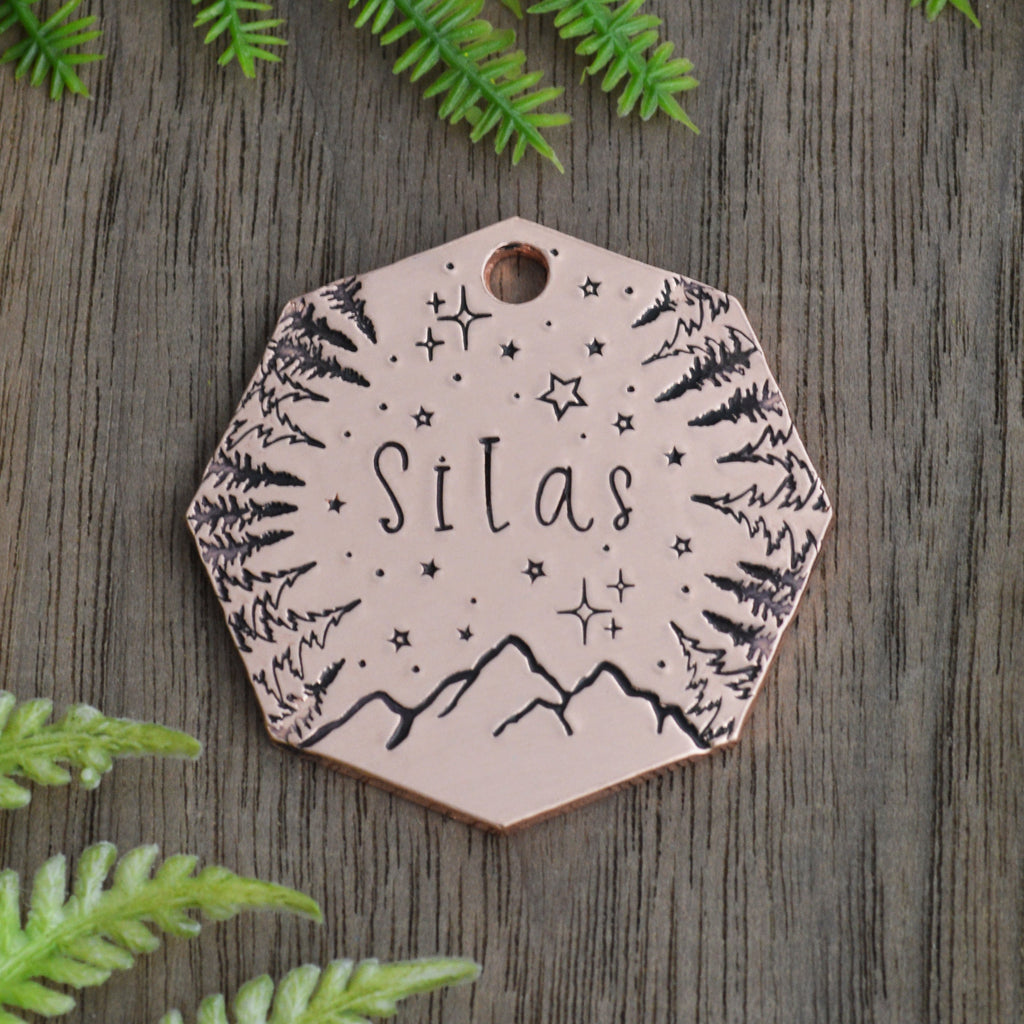 Above the Peaks Hand Stamped Dog Collar Tag 